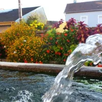 camping-fraiteux-plombieres-les-bains-wfvir