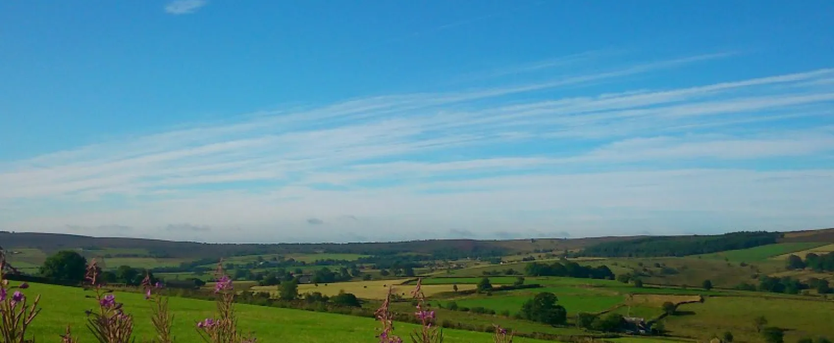 Longnor Wood Caravan Park