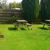 Longnor Wood Caravan Park