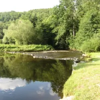 camping-relaxi-ardennen-forrires-xffny