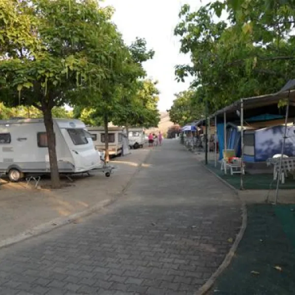 parque-de-campismo-de-ortiga-ortiga-nbb0c