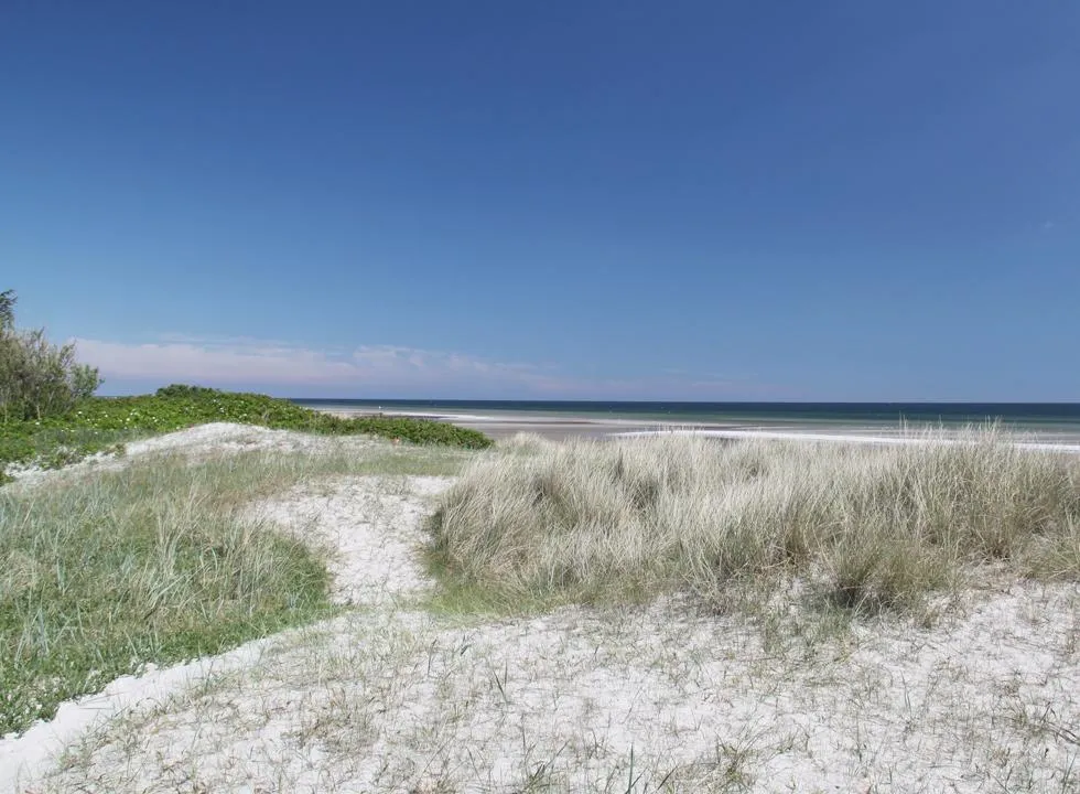 hals-strand-camping-hals-37wen