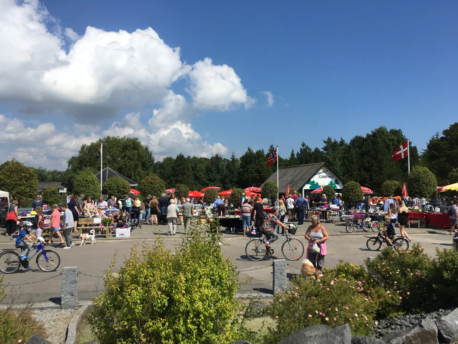 hals-strand-camping-hals-w7z3y