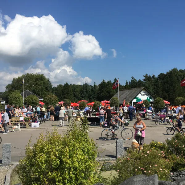 hals-strand-camping-hals-w7z3y