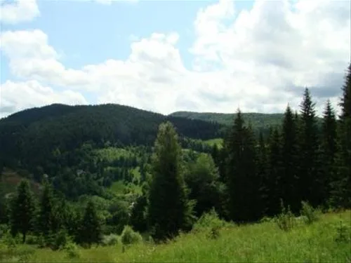 camping-pensiunea-cristal-sucevita-z0pku