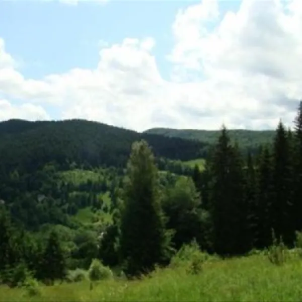 camping-pensiunea-cristal-sucevita-z0pku