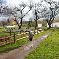 villa-betula-camping-liptovsk-silenica-6efcz