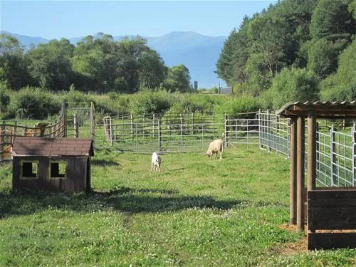 villa-betula-camping-liptovsk-silenica-gfdqs