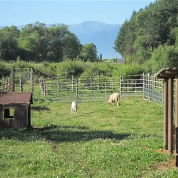 villa-betula-camping-liptovsk-silenica-gfdqs