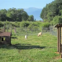 villa-betula-camping-liptovsk-silenica-gfdqs