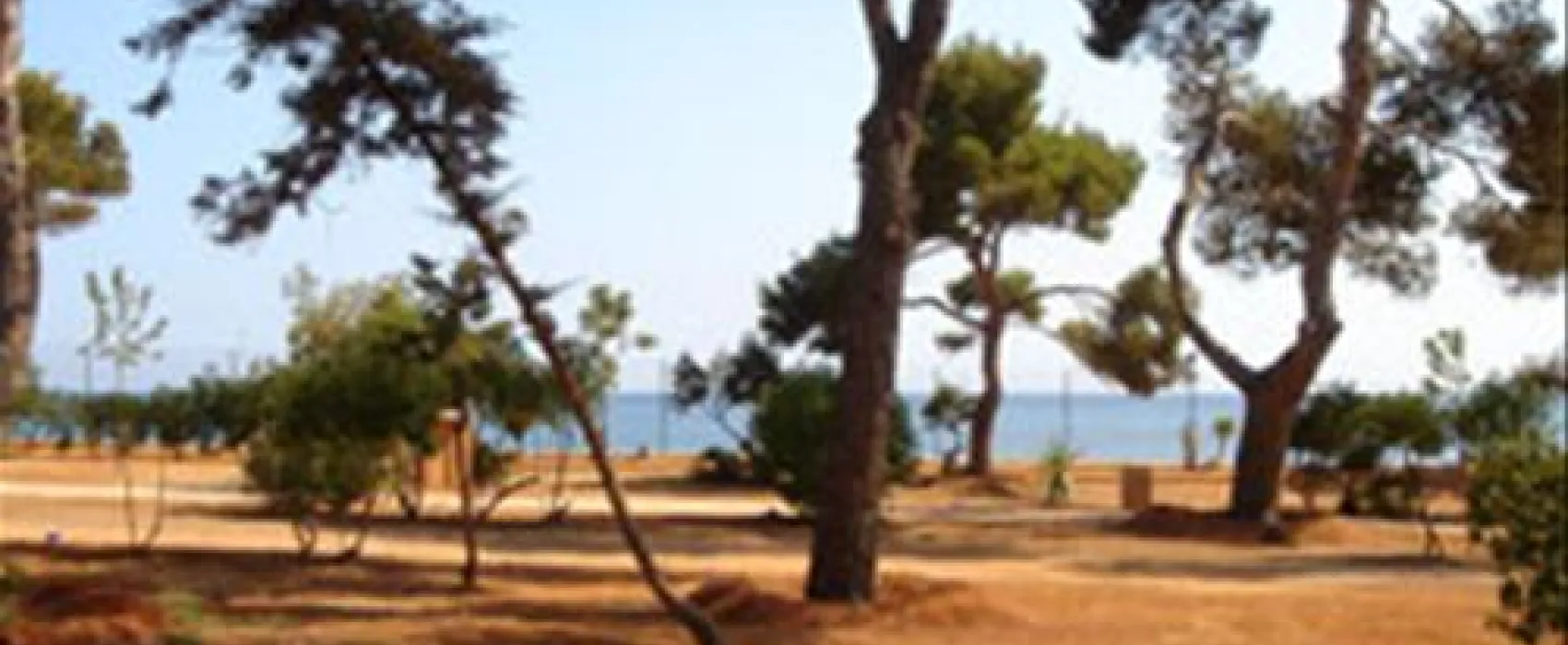 Camping La Playa Ibiza