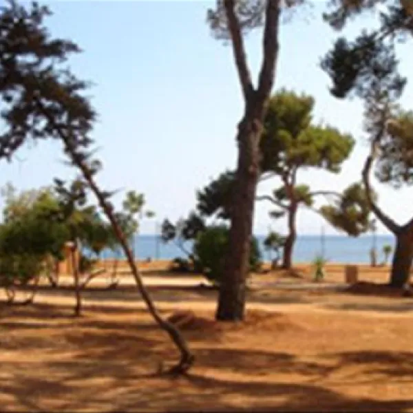 Camping La Playa Ibiza