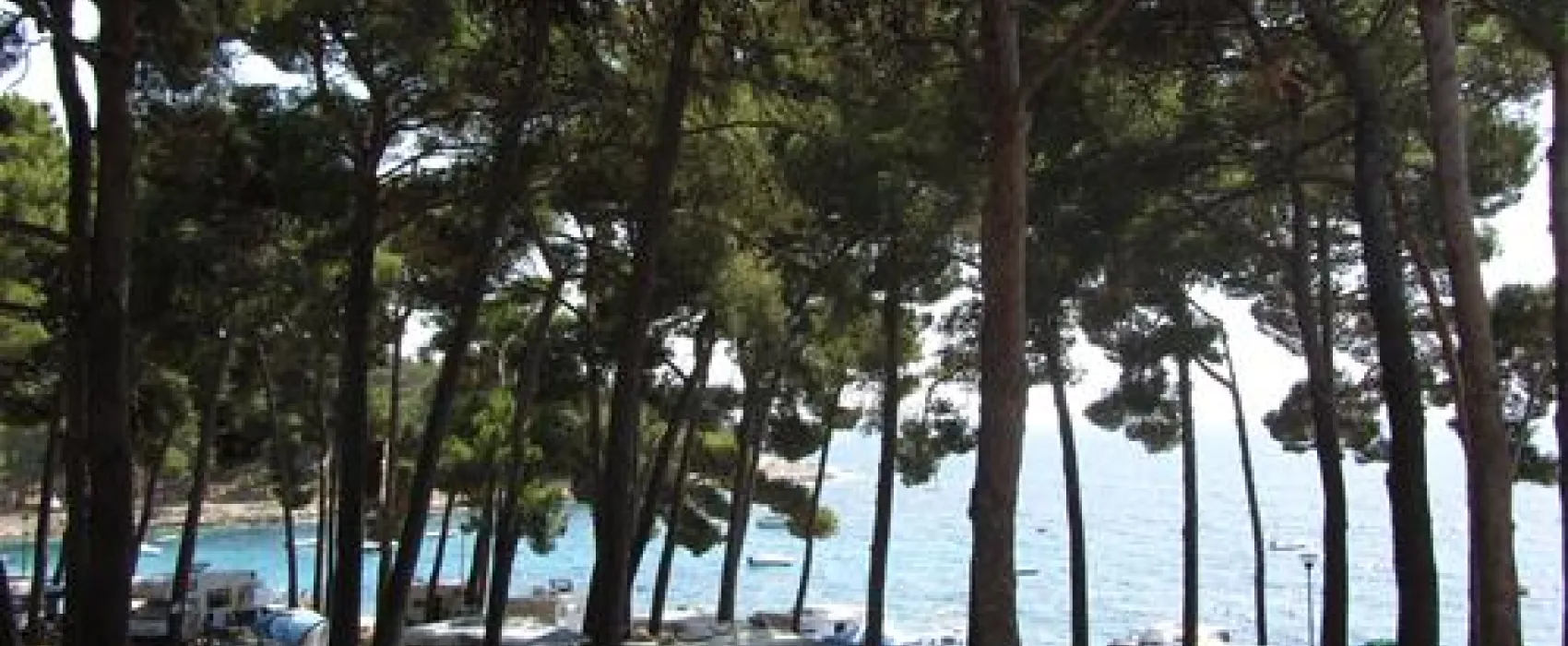 Camping Cikat