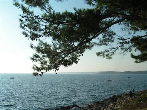 camping-cikat-mali-losinj-iex6s