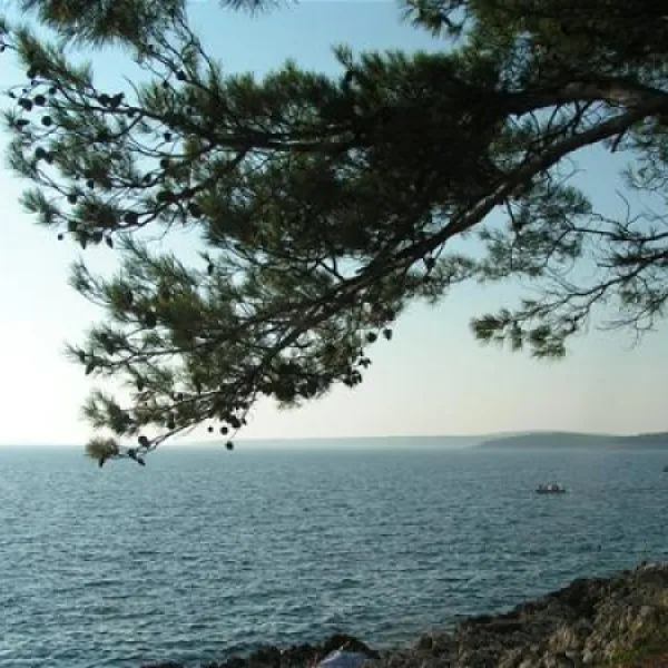 camping-cikat-mali-losinj-iex6s