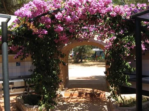 camping-cikat-mali-losinj-io6ty