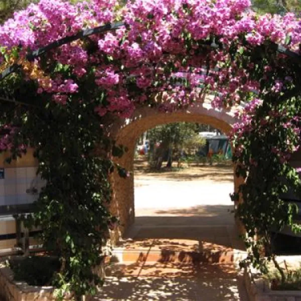 camping-cikat-mali-losinj-io6ty