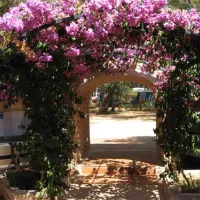 camping-cikat-mali-losinj-io6ty