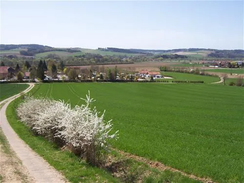 kurgutshofcamping-arterhof-bad-birnbachlengham-1ple8