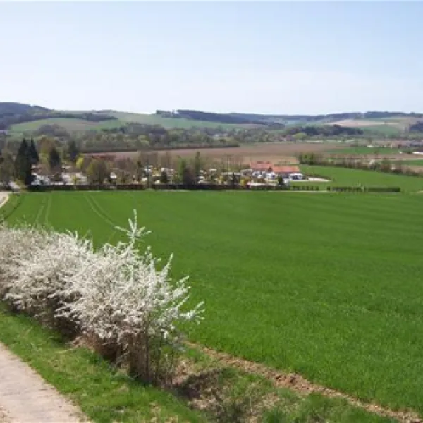 kurgutshofcamping-arterhof-bad-birnbachlengham-1ple8
