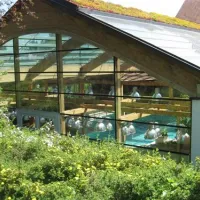 kurgutshofcamping-arterhof-bad-birnbachlengham-icly5