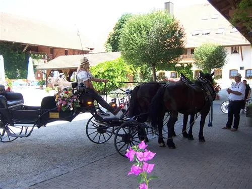 kurgutshofcamping-arterhof-bad-birnbachlengham-mz5ey