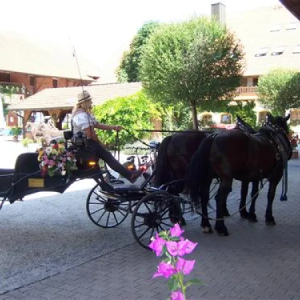 kurgutshofcamping-arterhof-bad-birnbachlengham-mz5ey