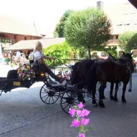 kurgutshofcamping-arterhof-bad-birnbachlengham-mz5ey