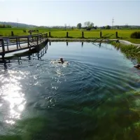 kurgutshofcamping-arterhof-bad-birnbachlengham-nznzz