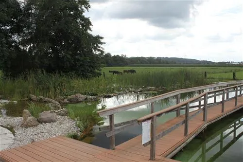 kurgutshofcamping-arterhof-bad-birnbachlengham-o4dgp