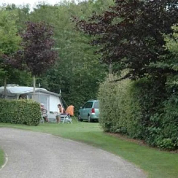 camping-midden-drenthe-westerbork-buqce