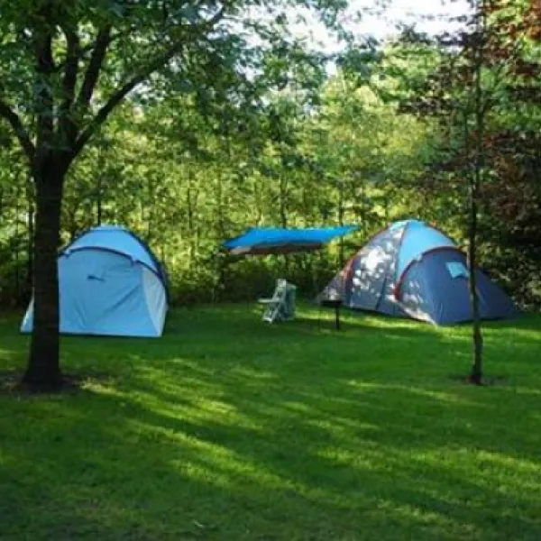 camping-midden-drenthe-westerbork-ozudy