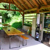 camping-loka-ljubno-ob-savinji-poomz