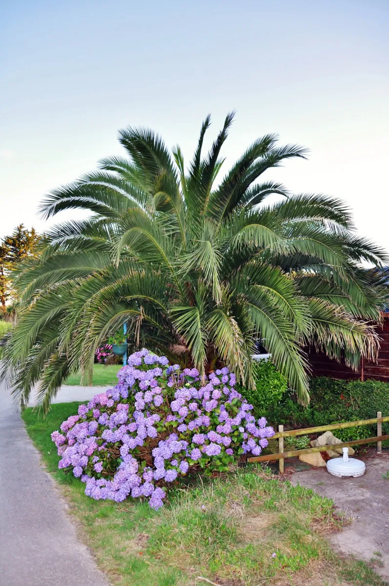 camping-du-vougot-plouguerneau-zmowl