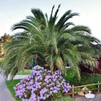 camping-du-vougot-plouguerneau-zmowl
