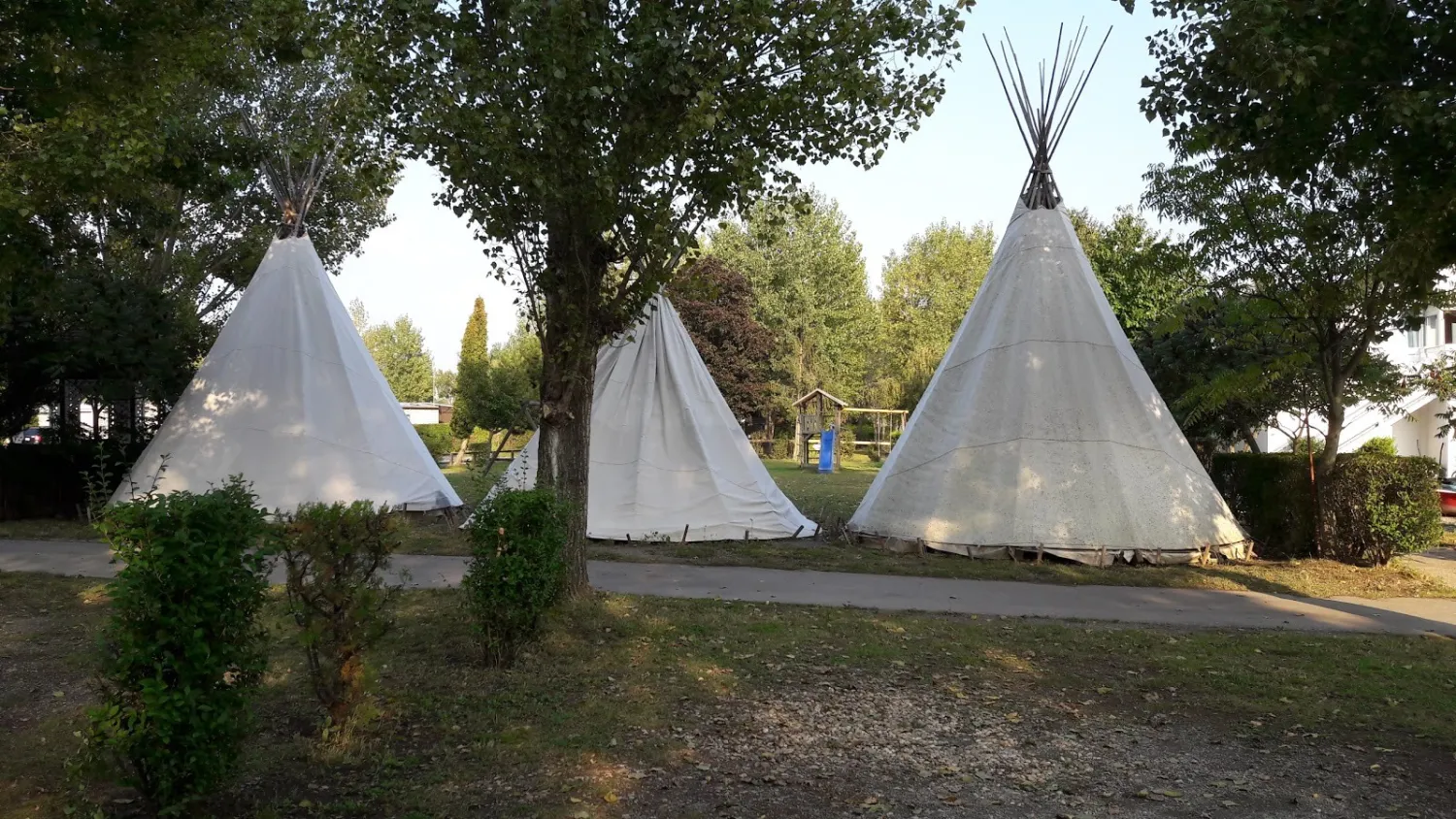 storchencamp-rust-rust-1rgtd