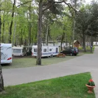 camping-stogi-nr-218-w-gdansk-gdask-stogi-82xtj