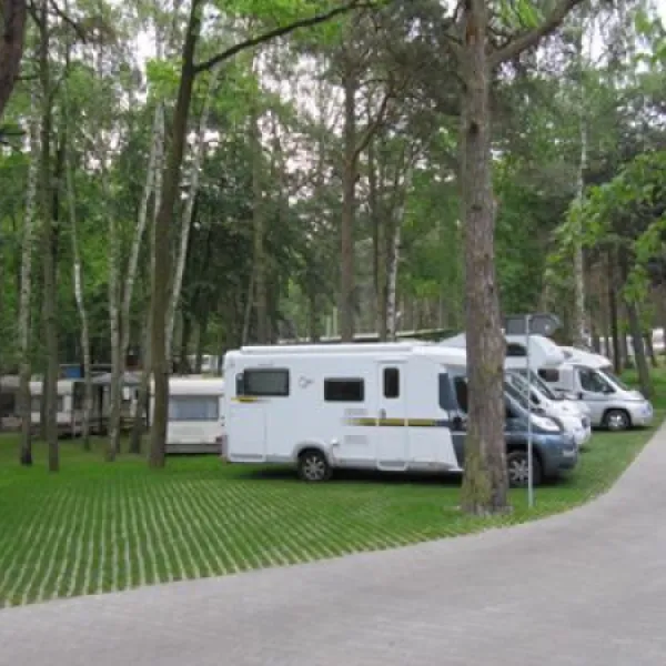 camping-stogi-nr-218-w-gdansk-gdask-stogi-kc3w3