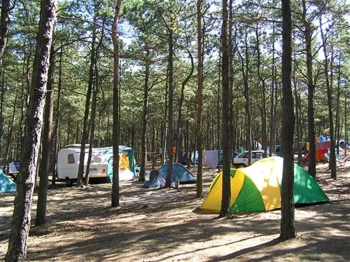 camping-stogi-nr-218-w-gdansk-gdask-stogi-lpmhl