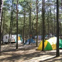camping-stogi-nr-218-w-gdansk-gdask-stogi-lpmhl