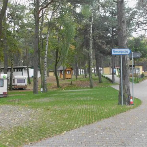 camping-stogi-nr-218-w-gdansk-gdask-stogi-o6ju0