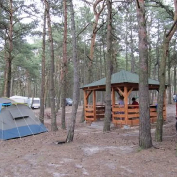 camping-stogi-nr-218-w-gdansk-gdask-stogi-rqrfp