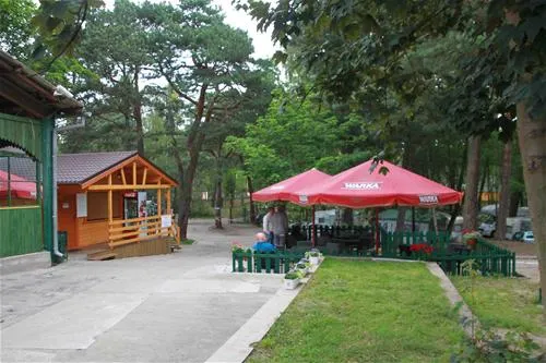 camping-stogi-nr-218-w-gdansk-gdask-stogi-svacq