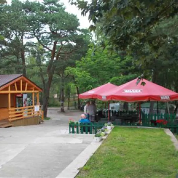 camping-stogi-nr-218-w-gdansk-gdask-stogi-svacq