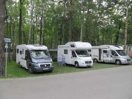 camping-stogi-nr-218-w-gdansk-gdask-stogi-x84k0