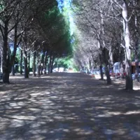 camping-ant-erdek-8ndnx