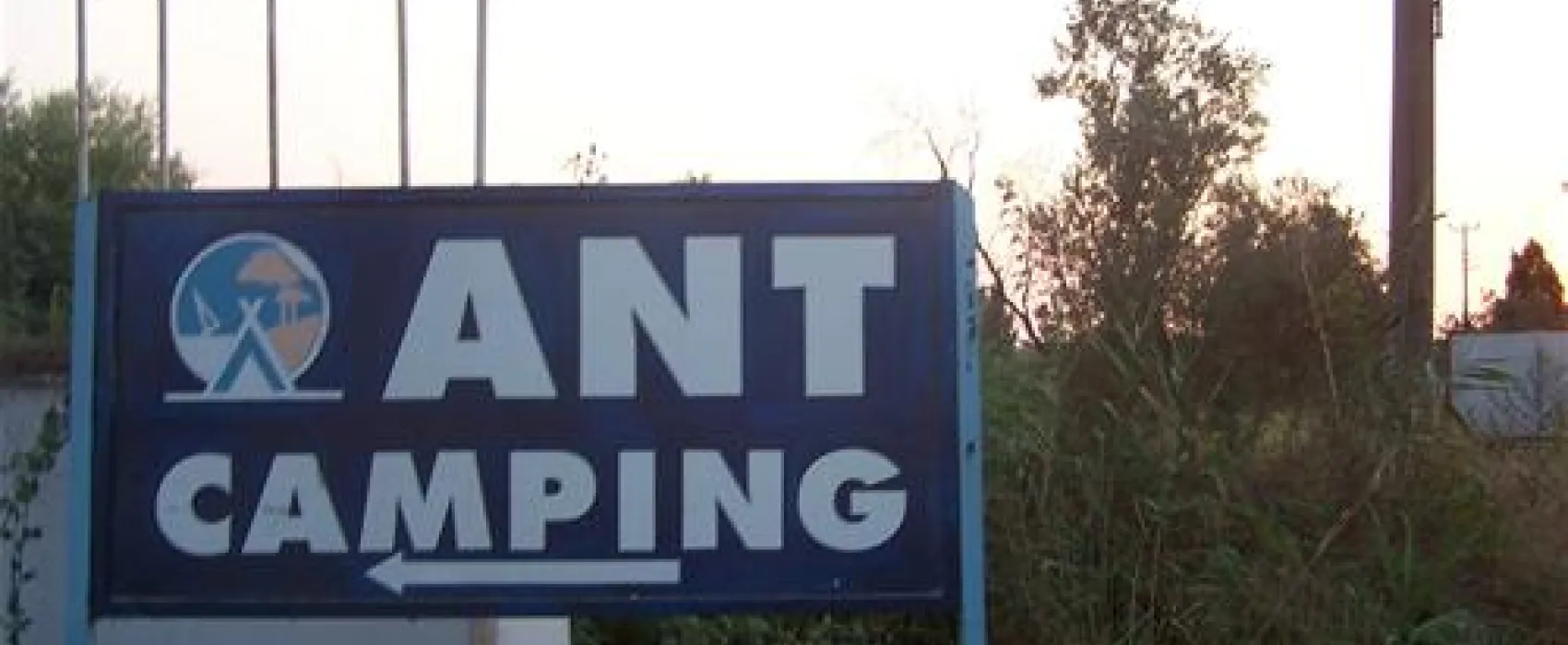 Camping Ant