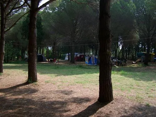 camping-ant-erdek-wkdev