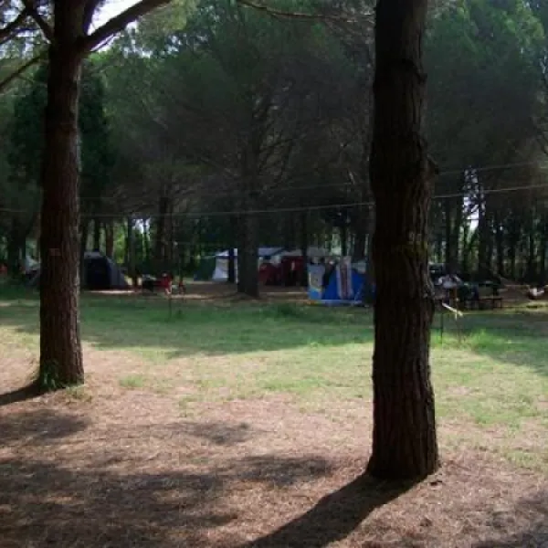 camping-ant-erdek-wkdev