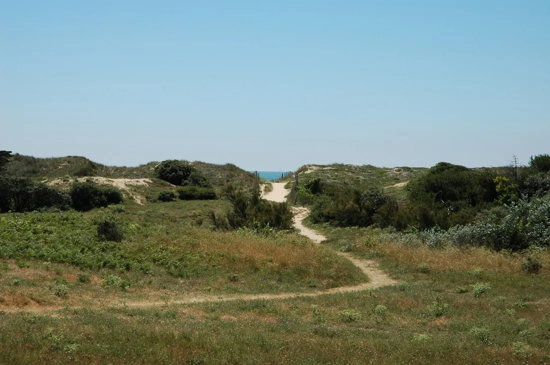 camping-antioche-le-bois-plage-en-r-eucmp